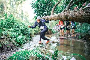 BIB: 
                            <button type="button" onclick="openModal(25478074)" class="btn btn-primary btn-sm float-right btn-popup" data-toggle="modal" data-target=".modal-high-quality">
                        <i class="fas fa-shopping-cart"></i> Add to Cart
                    </button>
                                            <button type="button" onclick="isThisMe(25478074, true)" class="btn btn-success btn-sm float-right btn-popup btn-isme hidden" data-toggle="tooltip" data-placement="bottom" title="นี่คือรูปของคุณใช่ไหม คลิกที่นี่เพื่อเอาเข้าอัลบั้ม">
                        <i class="fas fa-plus"></i> Add to album
                    </button>
                    <button type="button" onclick="isThisMe(25478074, false)" class="btn btn-warning btn-sm float-right btn-popup btn-isnotme hidden">
                        <i class="fas fa-ban"></i> Remove from album
                    </button>